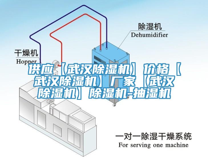 供應(yīng)【武漢除濕機(jī)】價格【武漢除濕機(jī)】廠家【武漢除濕機(jī)】除濕機(jī)-抽濕機(jī)