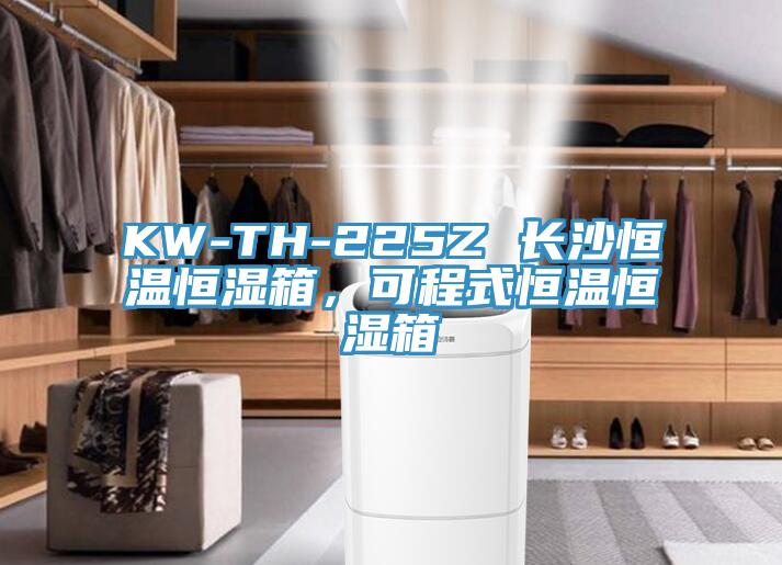 KW-TH-225Z 長(zhǎng)沙恒溫恒濕箱，可程式恒溫恒濕箱