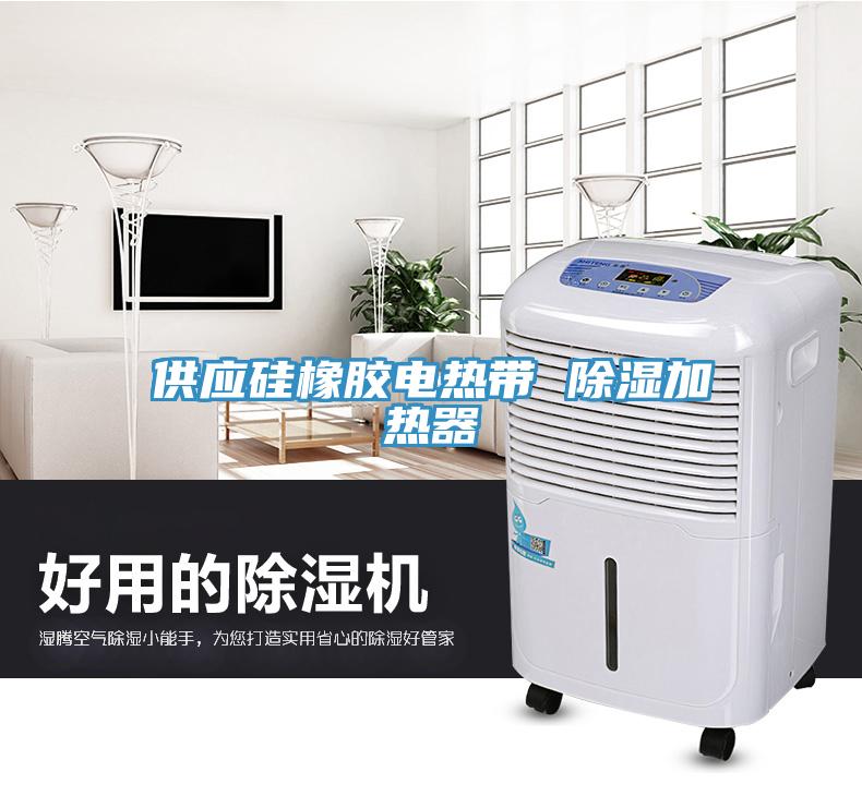 供應硅橡膠電熱帶 除濕加熱器