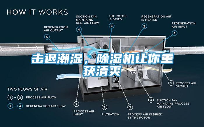 擊退潮濕，除濕機(jī)讓你重獲清爽