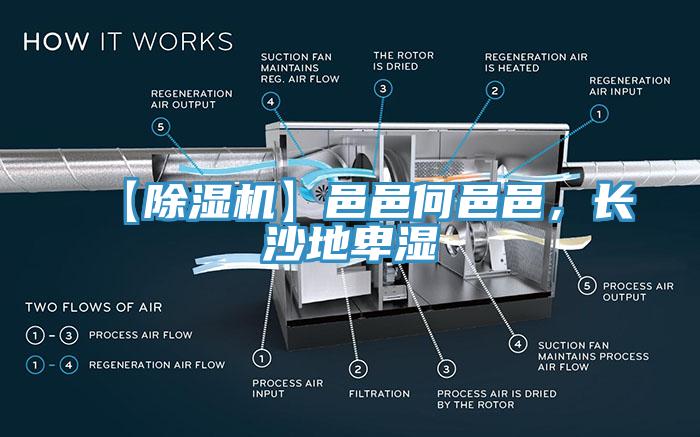 【除濕機(jī)】邑邑何邑邑，長(zhǎng)沙地卑濕