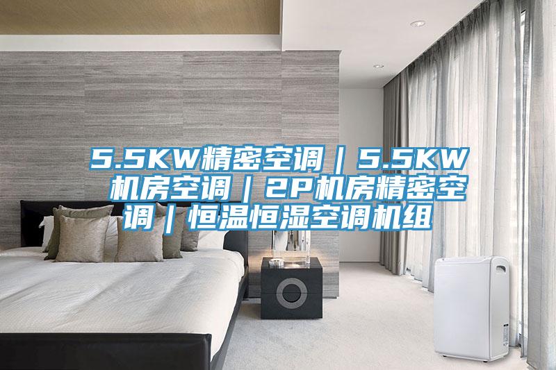 5.5KW精密空調(diào)｜5.5KW 機(jī)房空調(diào)｜2P機(jī)房精密空調(diào)｜恒溫恒濕空調(diào)機(jī)組