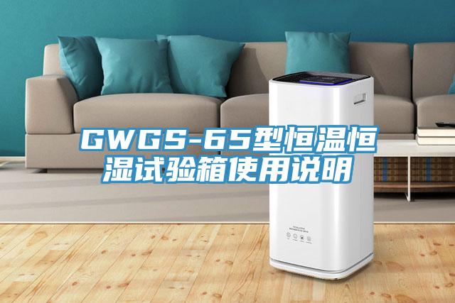 GWGS-65型恒溫恒濕試驗箱使用說明