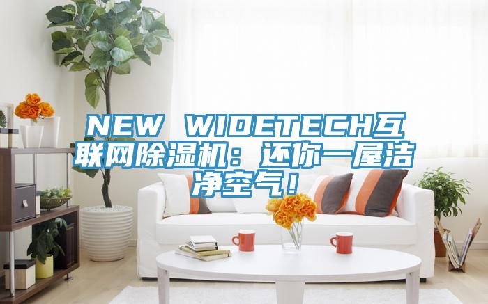 NEW WIDETECH互聯(lián)網(wǎng)除濕機(jī)：還你一屋潔凈空氣！