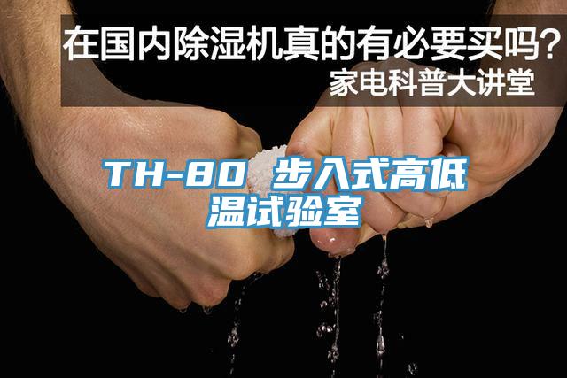 TH-80 步入式高低溫試驗(yàn)室