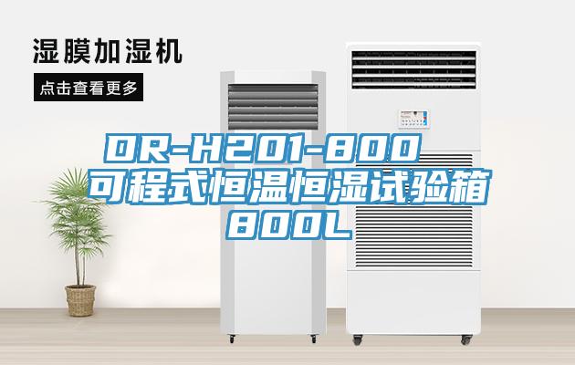 DR-H201-800  可程式恒溫恒濕試驗(yàn)箱800L