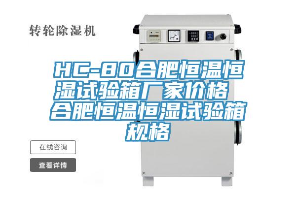 HC-80合肥恒溫恒濕試驗箱廠家價格 合肥恒溫恒濕試驗箱規(guī)格