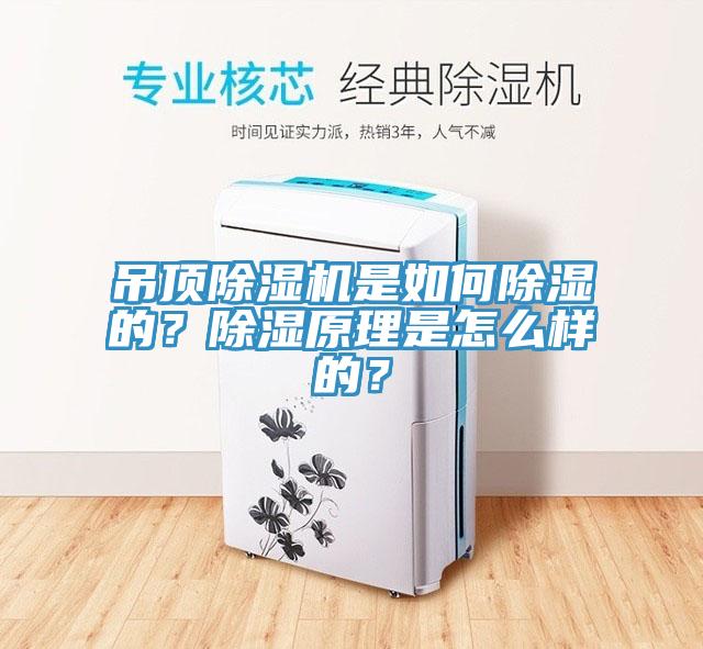 吊頂除濕機是如何除濕的？除濕原理是怎么樣的？