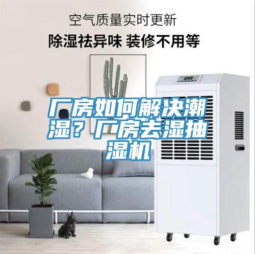 廠房如何解決潮濕？廠房去濕抽濕機