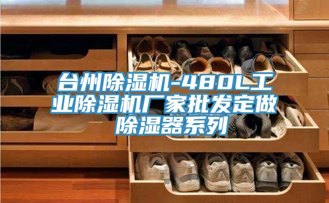 臺州除濕機-480L工業(yè)除濕機廠家批發(fā)定做 除濕器系列