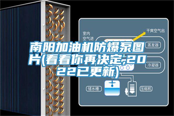 南陽(yáng)加油機(jī)防爆泵圖片(看看你再?zèng)Q定,2022已更新)