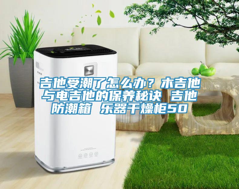 吉他受潮了怎么辦？木吉他與電吉他的保養(yǎng)秘訣 吉他防潮箱 樂(lè)器干燥柜50