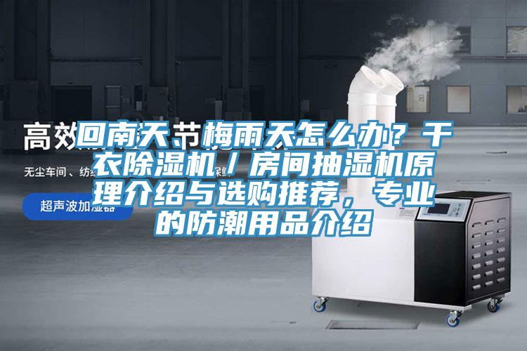 回南天、梅雨天怎么辦？干衣除濕機／房間抽濕機原理介紹與選購推薦，專業(yè)的防潮用品介紹