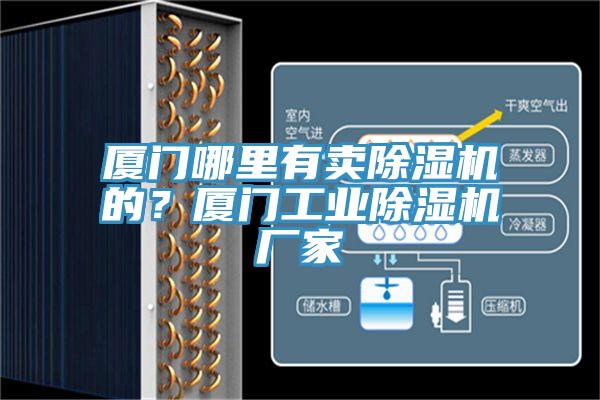 廈門哪里有賣除濕機(jī)的？廈門工業(yè)除濕機(jī)廠家