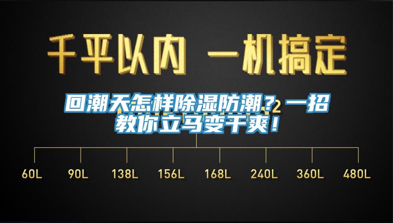 回潮天怎樣除濕防潮？一招教你立馬變干爽！