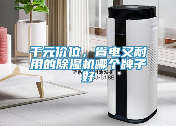 千元價(jià)位，省電又耐用的除濕機(jī)哪個(gè)牌子好