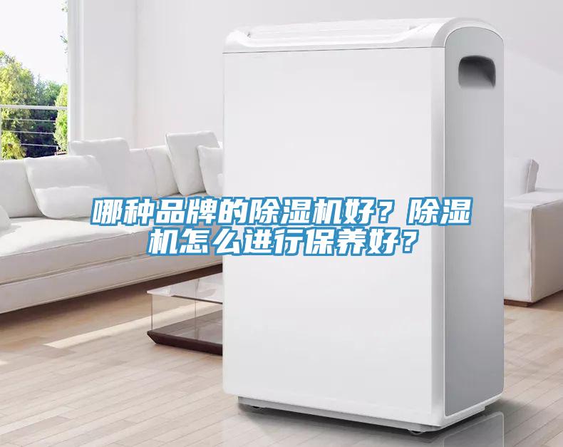 哪種品牌的除濕機好？除濕機怎么進行保養(yǎng)好？