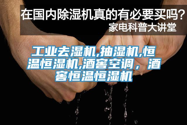 工業(yè)去濕機,抽濕機,恒溫恒濕機,酒窖空調，酒窖恒溫恒濕機