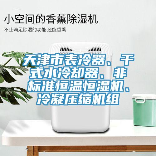 天津市表冷器、干式水冷卻器、非標(biāo)準(zhǔn)恒溫恒濕機、冷凝壓縮機組