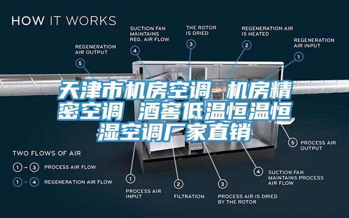 天津市機房空調 機房精密空調 酒窖低溫恒溫恒濕空調廠家直銷