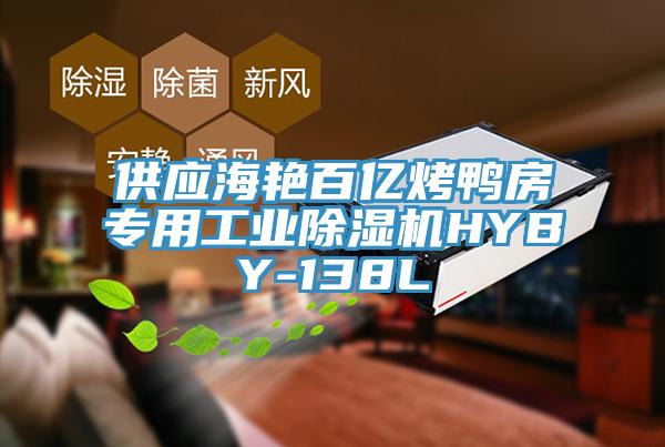 供應(yīng)海艷百億烤鴨房專用工業(yè)除濕機(jī)HYBY-138L