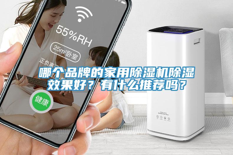 哪個品牌的家用除濕機除濕效果好？有什么推薦嗎？