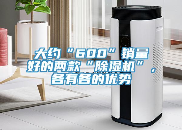 大約“600”銷量好的兩款“除濕機(jī)”，各有各的優(yōu)勢