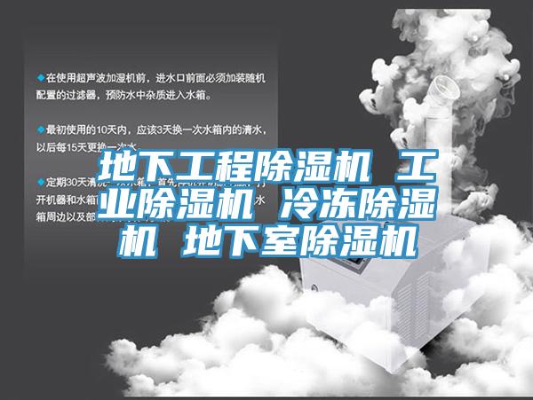 地下工程除濕機 工業(yè)除濕機 冷凍除濕機 地下室除濕機