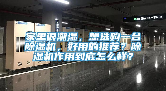 家里很潮濕，想選購一臺除濕機(jī)，好用的推薦？除濕機(jī)作用到底怎么樣？