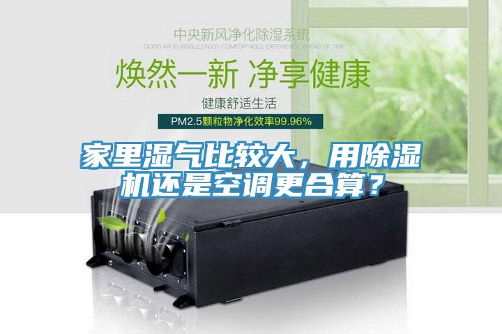 家里濕氣比較大，用除濕機還是空調更合算？