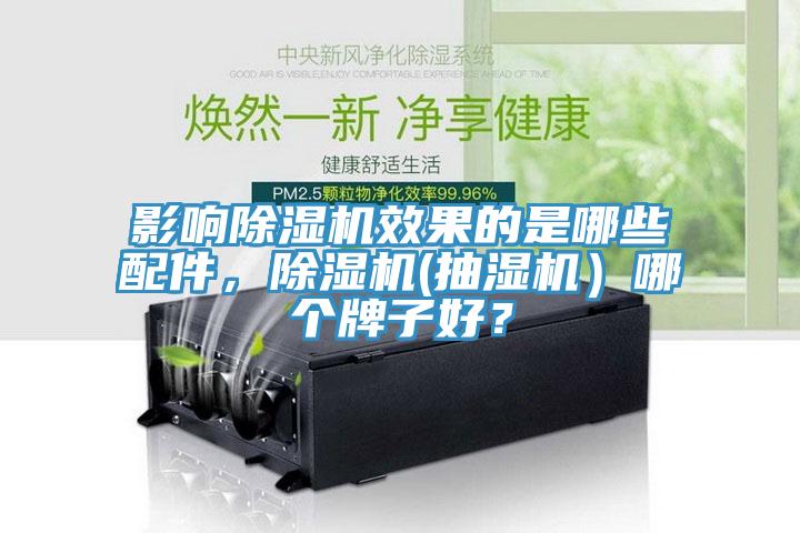 影響除濕機效果的是哪些配件，除濕機(抽濕機）哪個牌子好？