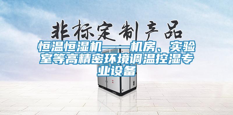 恒溫恒濕機——機房、實驗室等高精密環(huán)境調溫控濕專業(yè)設備