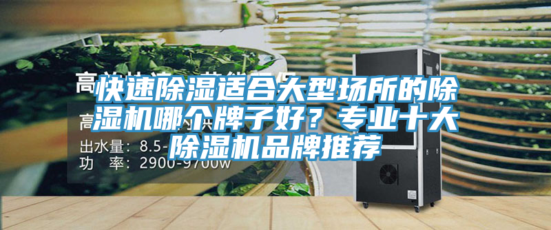 快速除濕適合大型場所的除濕機哪個牌子好？專業(yè)十大除濕機品牌推薦