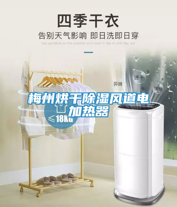 梅州烘干除濕風(fēng)道電加熱器