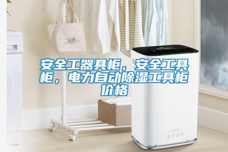 安全工器具柜，安全工具柜，電力自動(dòng)除濕工具柜價(jià)格