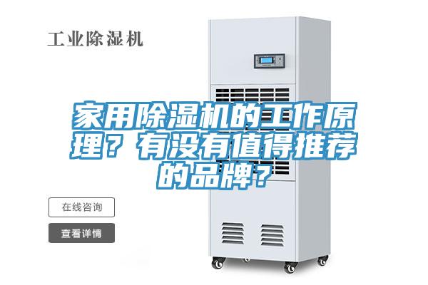 家用除濕機的工作原理？有沒有值得推薦的品牌？