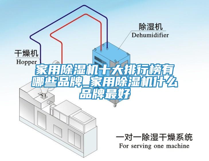 家用除濕機(jī)十大排行榜有哪些品牌_家用除濕機(jī)什么品牌最好