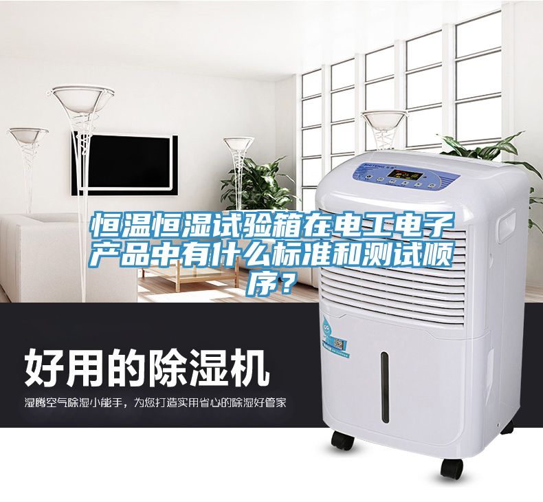 恒溫恒濕試驗箱在電工電子產(chǎn)品中有什么標(biāo)準(zhǔn)和測試順序？