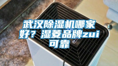 武漢除濕機哪家好？濕菱品牌zui可靠