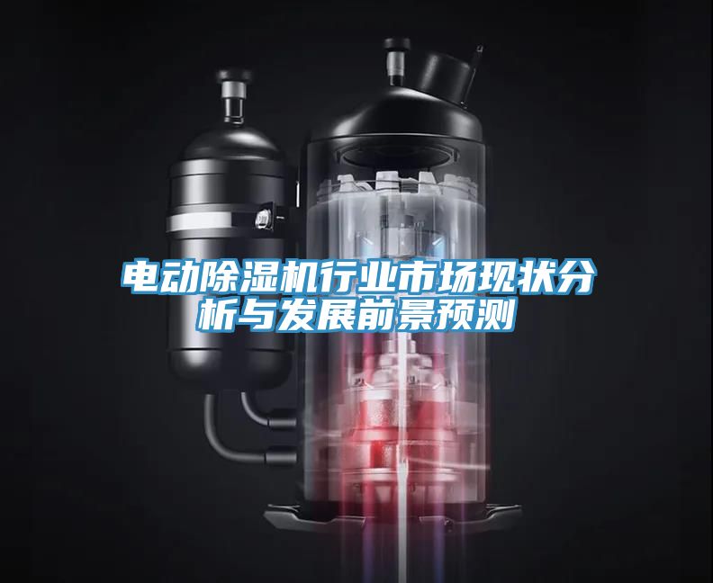 電動除濕機行業(yè)市場現(xiàn)狀分析與發(fā)展前景預(yù)測