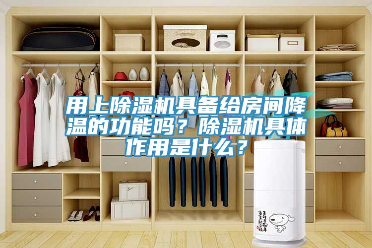 用上除濕機具備給房間降溫的功能嗎？除濕機具體作用是什么？