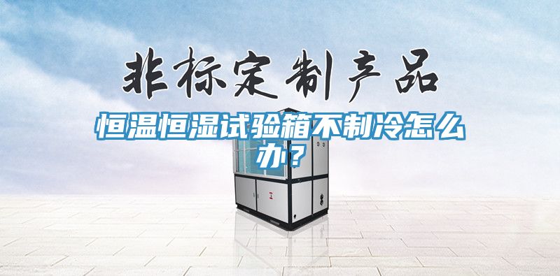 恒溫恒濕試驗(yàn)箱不制冷怎么辦？