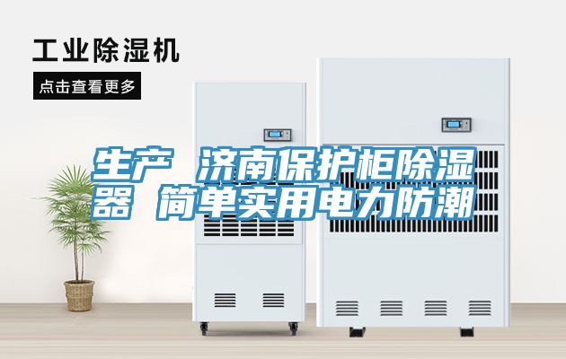 生產(chǎn) 濟南保護柜除濕器 簡單實用電力防潮