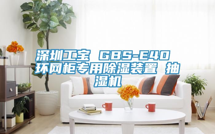 深圳工寶 GBS-E40 環(huán)網(wǎng)柜專用除濕裝置 抽濕機(jī)