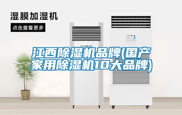 江西除濕機品牌(國產(chǎn)家用除濕機10大品牌)