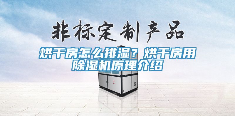 烘干房怎么排濕？烘干房用除濕機(jī)原理介紹