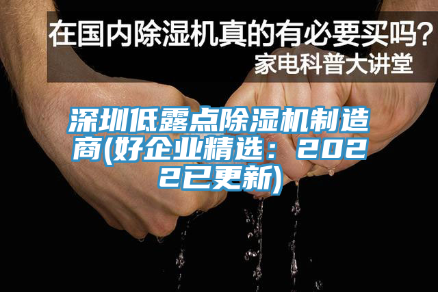 深圳低露點除濕機制造商(好企業(yè)精選：2022已更新)