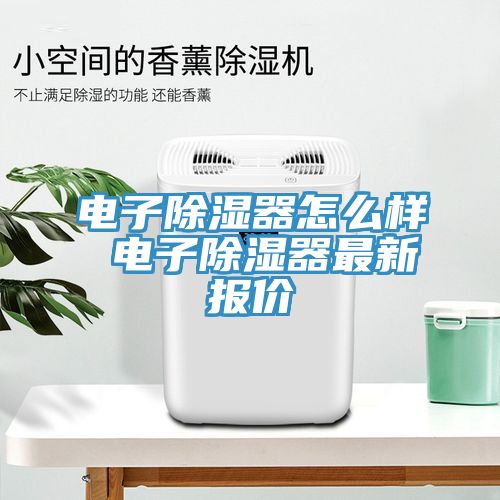 電子除濕器怎么樣 電子除濕器最新報價