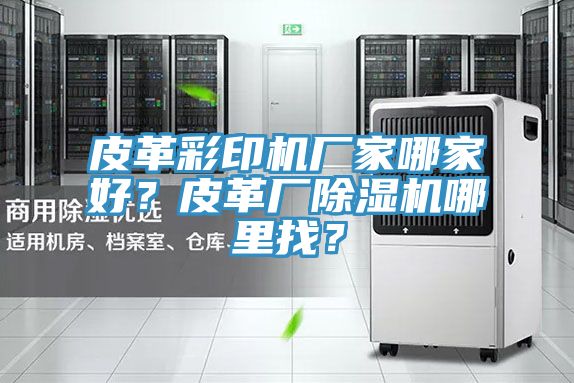 皮革彩印機廠家哪家好？皮革廠除濕機哪里找？