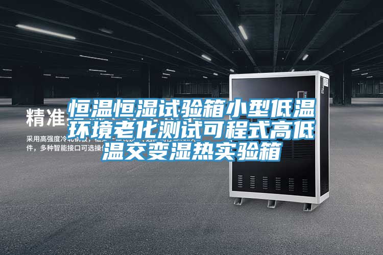 恒溫恒濕試驗箱小型低溫環(huán)境老化測試可程式高低溫交變濕熱實驗箱